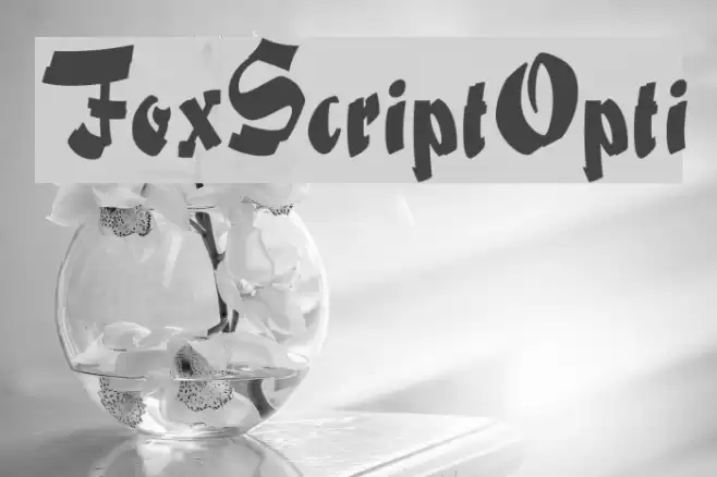 FoxScriptOpti Font examples