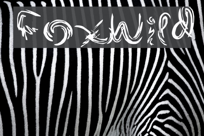 FoxWild Font examples