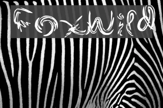 FoxWild Font examples