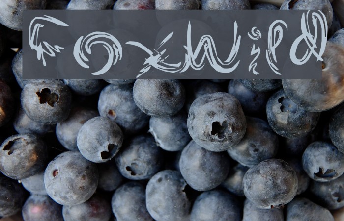 FoxWild Font examples