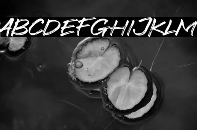 Foxbot Font examples