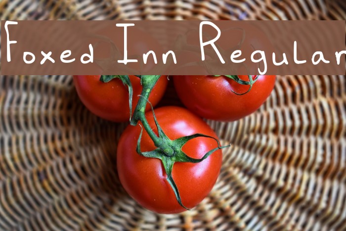Foxed Inn Regular Font examples
