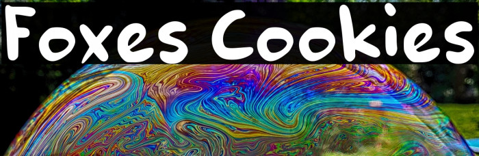 Foxes Cookies Example 2