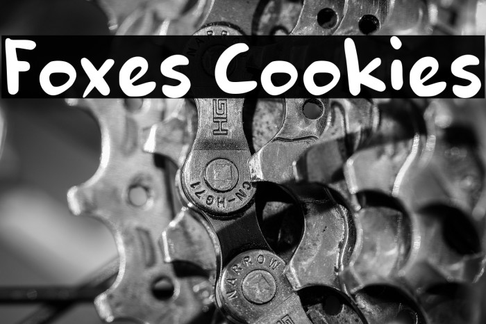 Foxes Cookies Example 3