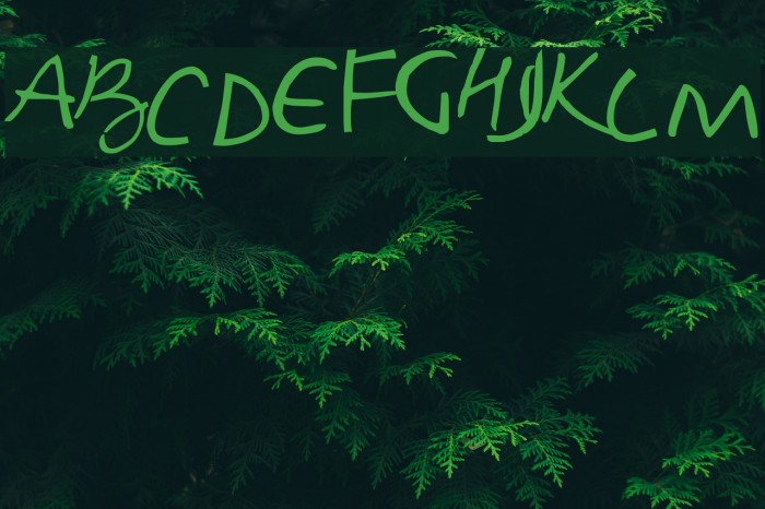 Foxjump Font examples