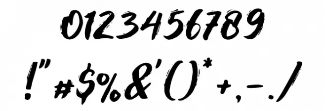 Foxlite Script Font OTHER CHARS