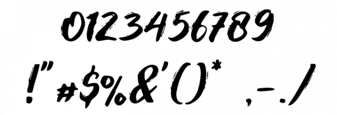 Foxlite Script Font OTHER CHARS