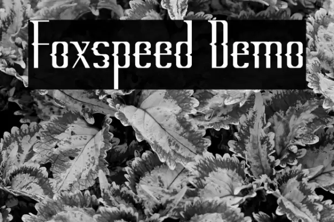Foxspeed Demo Font examples