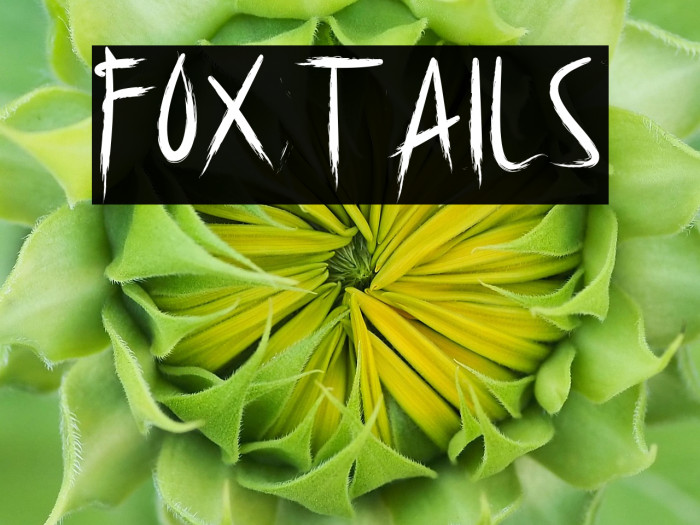 Foxtails Example 3
