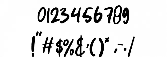 folewer Font OTHER CHARS