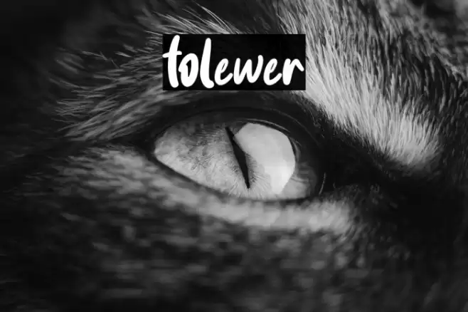 folewer Font examples