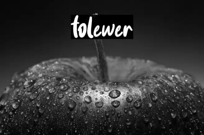 folewer Font examples