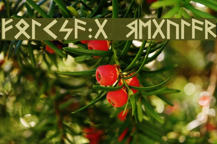 folksa:g Regular Example 1