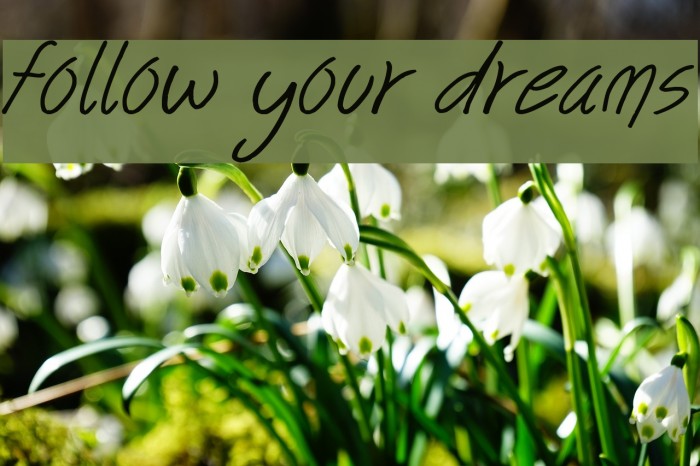 follow your dreams Font examples