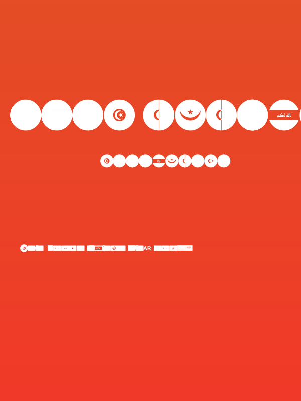 font arabic flags Poster