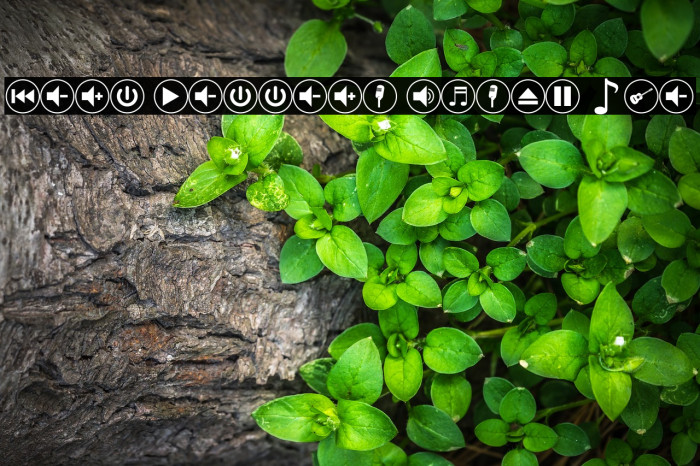 font bottons music pro Шрифта examples