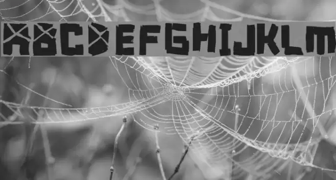 font breakdown Font examples