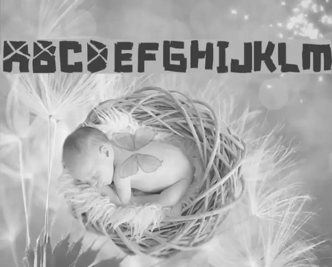 font breakdown Font examples