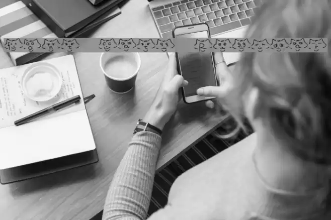 font cats Regular Font examples