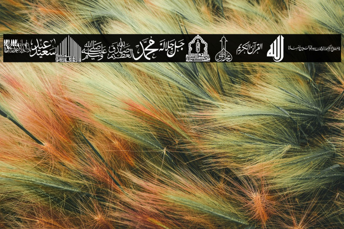 font islamic color Example 1