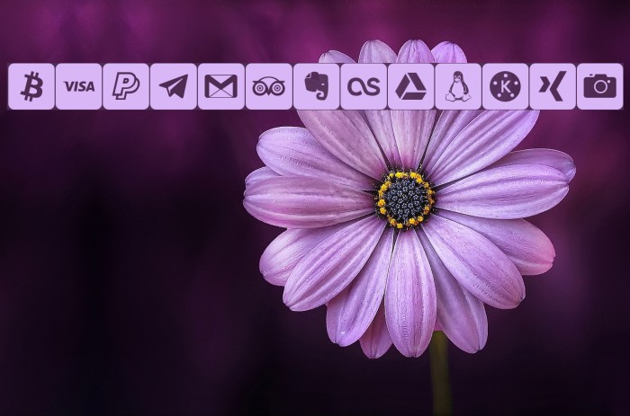 font social media لخطوط تنزيل examples