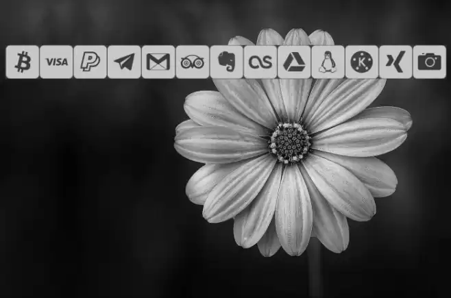 font social media Font examples