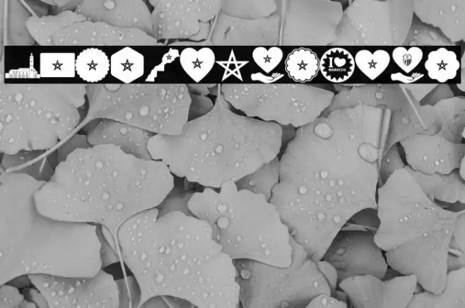 font tanger color Font examples