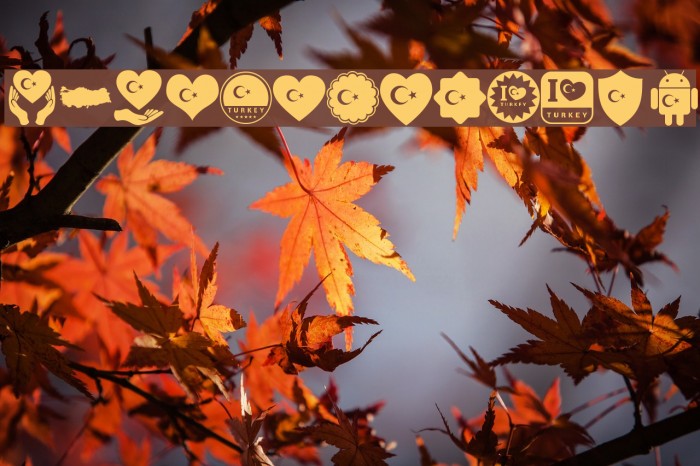 font turkey color Font examples