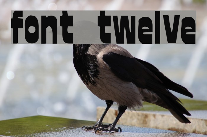 font twelve Font examples