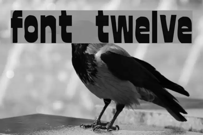 font twelve 字体 examples