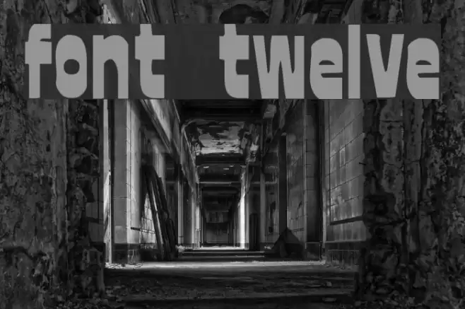 font twelve 字体 examples