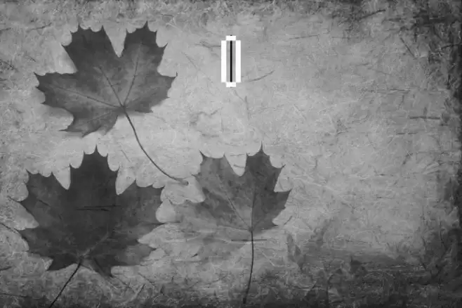 font10701 Font examples