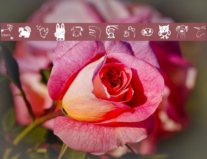 font3046 Font examples