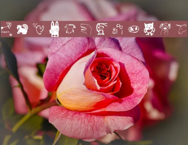 font3046 Example 3