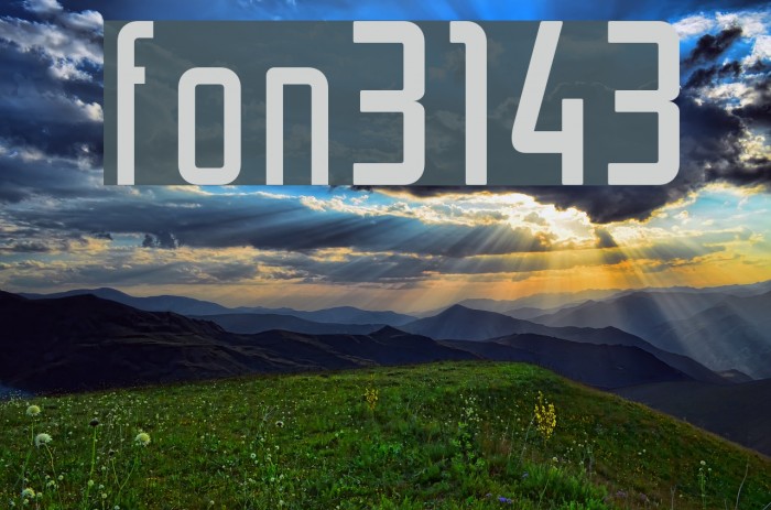 font3143 Fonte examples