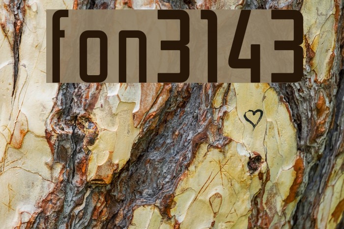 font3143 Fonte examples