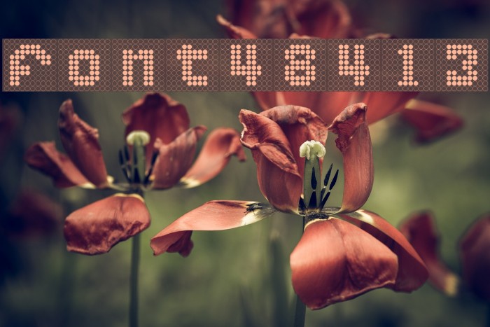 font48413 Font examples