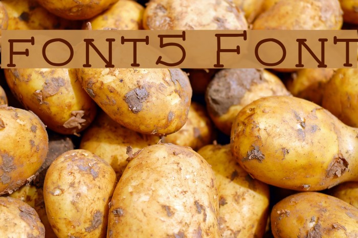 font5 Font examples