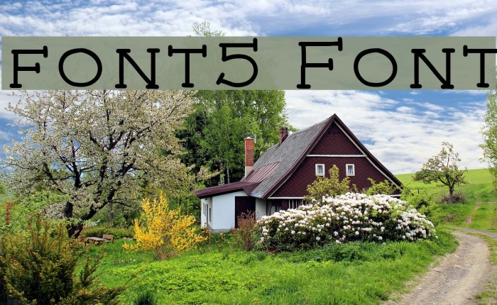 font5 Font examples