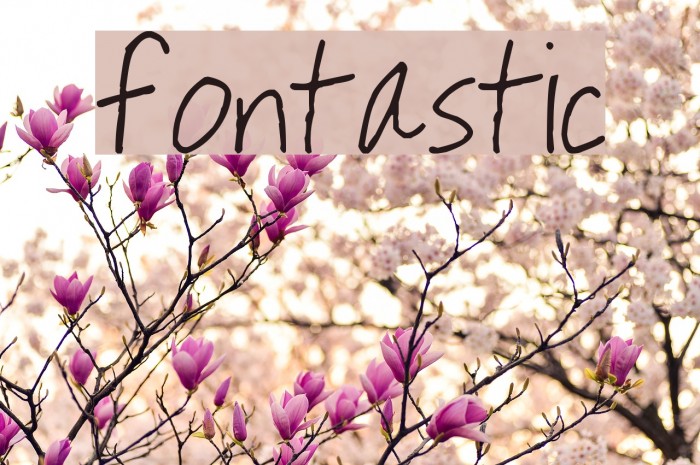 fontastic Font examples