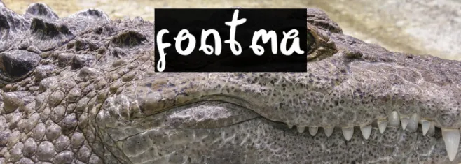 fontma Example 3