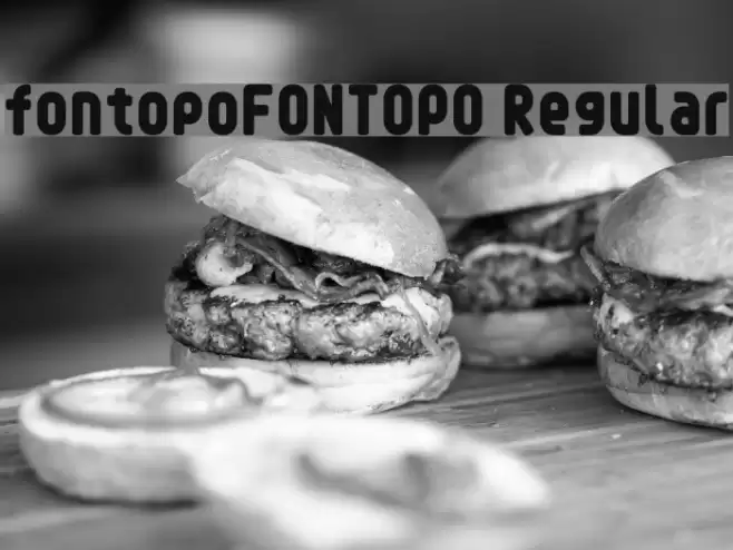 fontopoFONTOPO Regular Font examples