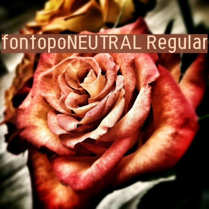 fontopoNEUTRAL Regular Font examples
