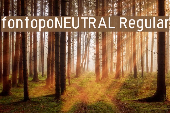 fontopoNEUTRAL Regular Font examples