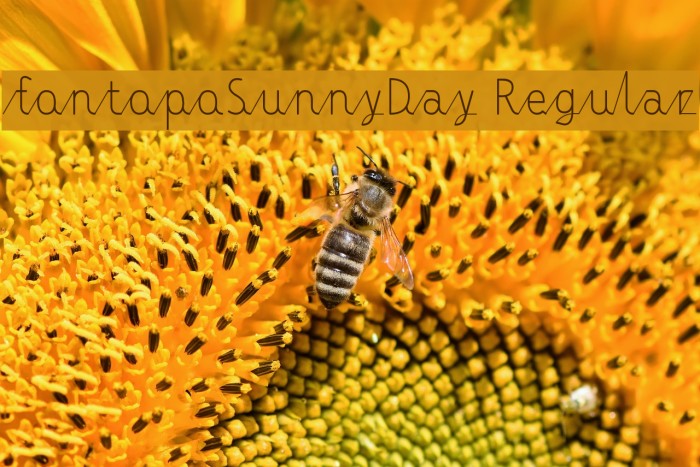 fontopoSunnyDay Regular Example 2