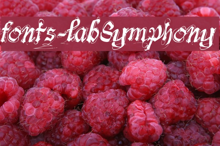 fonts-lab Symphony Font examples