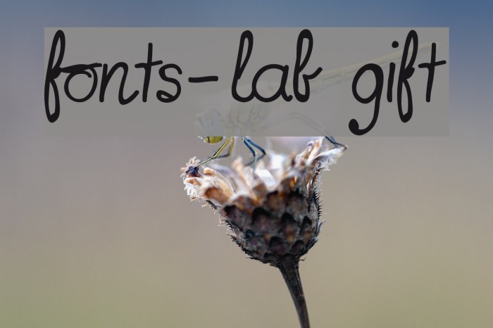 fonts-lab gift Font examples