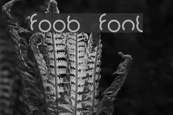 foob Font examples