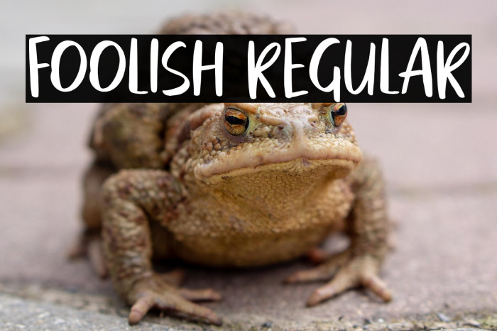 foolish Regular Example 3