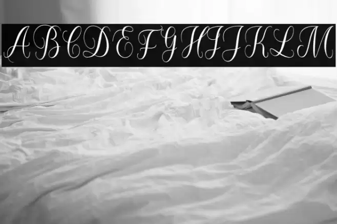 forlove Font examples